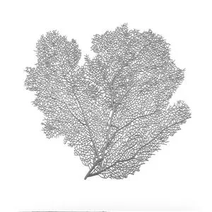 Hoja de plastico - Galerías el Triunfo - 156072692205