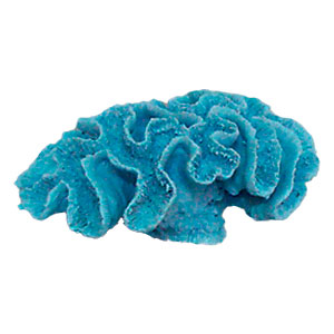 Coral azul de resina - Galerías el Triunfo - 206071383111