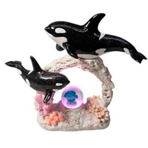 Orcas en coral - Galerías el Triunfo - 207072788026