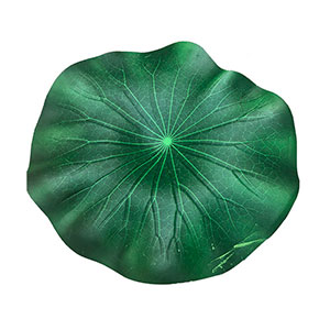 Hoja de loto verde - Galerías el Triunfo - 221001736467