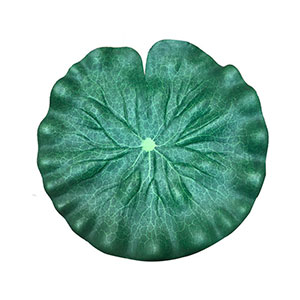 Hoja de loto verde - Galerías el Triunfo - 221001736469