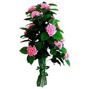 Arbol artificial con flores - Galerías el Triunfo - 221001736974
