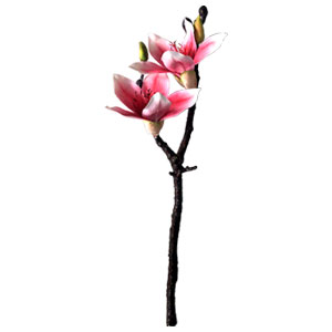 Vara exótica con flores - Galerías el Triunfo - 231001736594