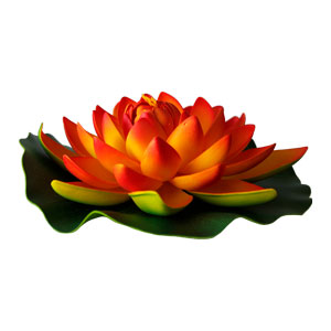 Flor de loto grande - Galerías el Triunfo - 231001736666