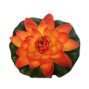 Flor de loto chica - Galerías el Triunfo - 231001736667
