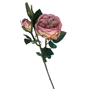 Vara de Rosas boton - Galerías el Triunfo - 241171736489