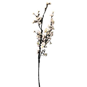 Vara con flores - Galerías el Triunfo - 281001736372