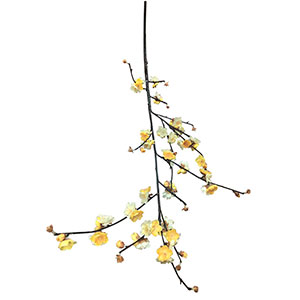 Vara con flores - Galerías el Triunfo - 281001736601