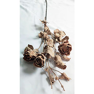 Vara de rosas beige - Galerías el Triunfo - 291001736440