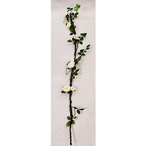 Guia de rosas blancas - Galerías el Triunfo - 291001736486