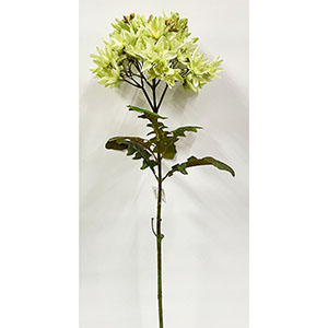 Vara de flor verde - Galerías el Triunfo - 291001736491