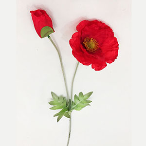 Vara de flores - Galerías el Triunfo - 291001736519