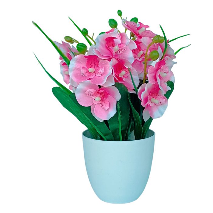 Maceta con orquideas rosas - Galerías el Triunfo - 291001736610