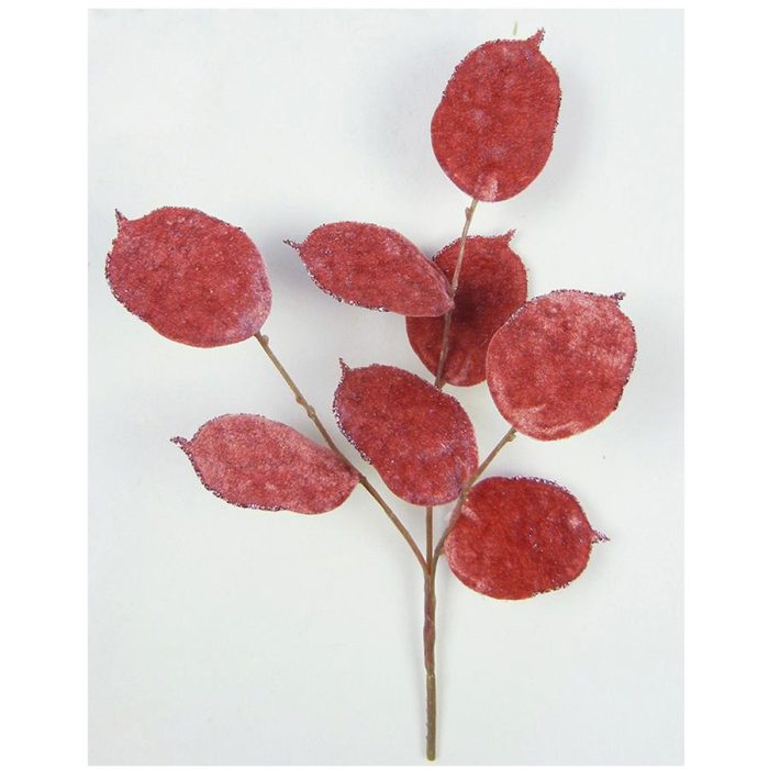 Vara de hoja - Galerías el Triunfo - 040907904400
