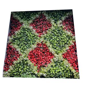 301001736292-galerias el triunfo