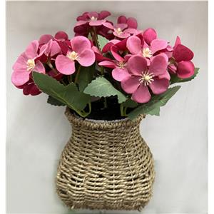 301001736312-galerias el triunfo