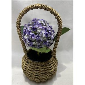 301001736334-galerias el triunfo