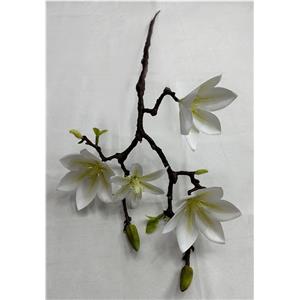 301001736342-galerias el triunfo