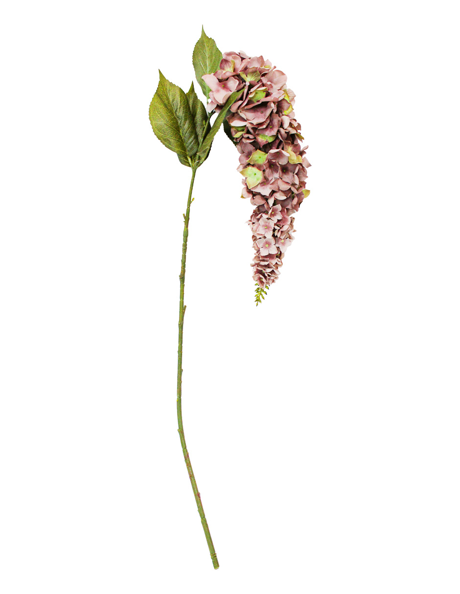 022032746006-galerias el triunfo