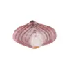 Plato de vidrio diseño - Image 2