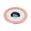 Juego de 5 platos blancos con orilla cobre de plastico de 22cm - Image 2
