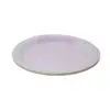 Paquete de 10 piezas de plato desechable blanco nacarado de 23cm - Image 2