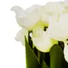 Ramo de tulipanes blancos en base de 7.5x7.5x21cm - Image 3