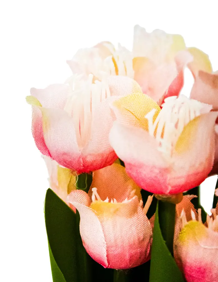 Ramo de tulipanes rosa de 7.5x7.5x21cm - Image 3
