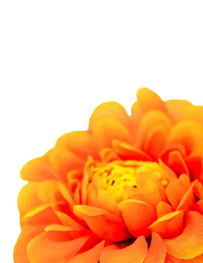 Ramo de flor naranja con base de 7.3x7.3x28cm - Image 3