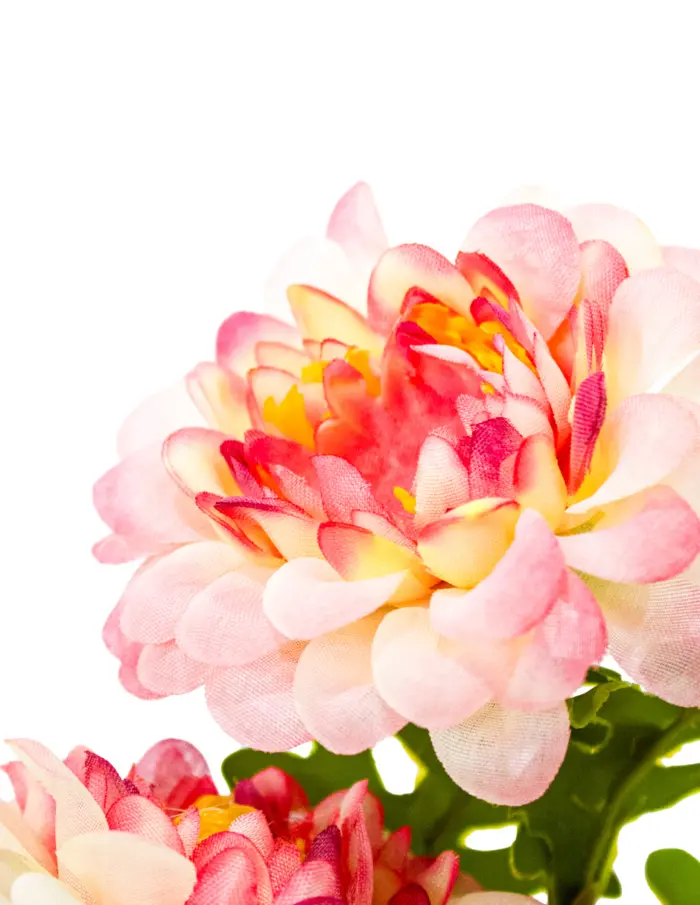 Ramo de flor rosa con base de 7.3x7.3x28cm - Image 3