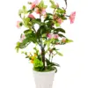 301001736876-galerias el triunfo