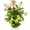 Maceta con flor tipo camelia rosa de 9x9x40cm - Image 2