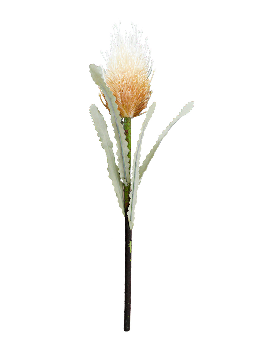 301001736877-galerias el triunfo