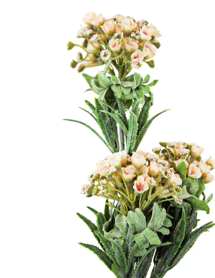 Vara de flores talqueadas durazno de15x78x0.1cm - Image 2