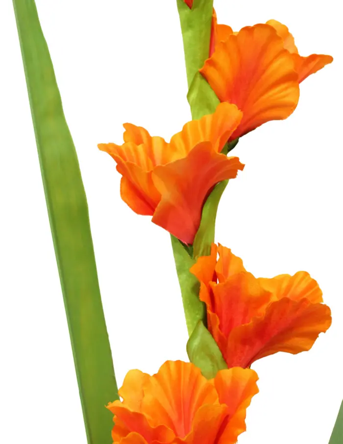 Vara de flor de gladiola naranja de 13x63x0.1cm - Image 2