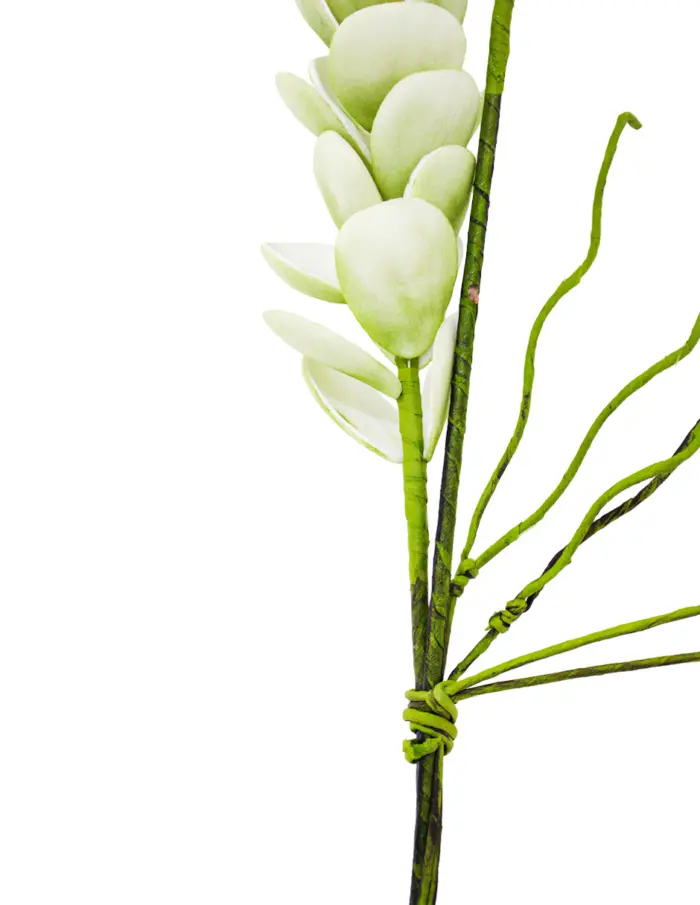 Vara de flores con 3 tallos de latex verde de 18x110x0.1cm - Image 2