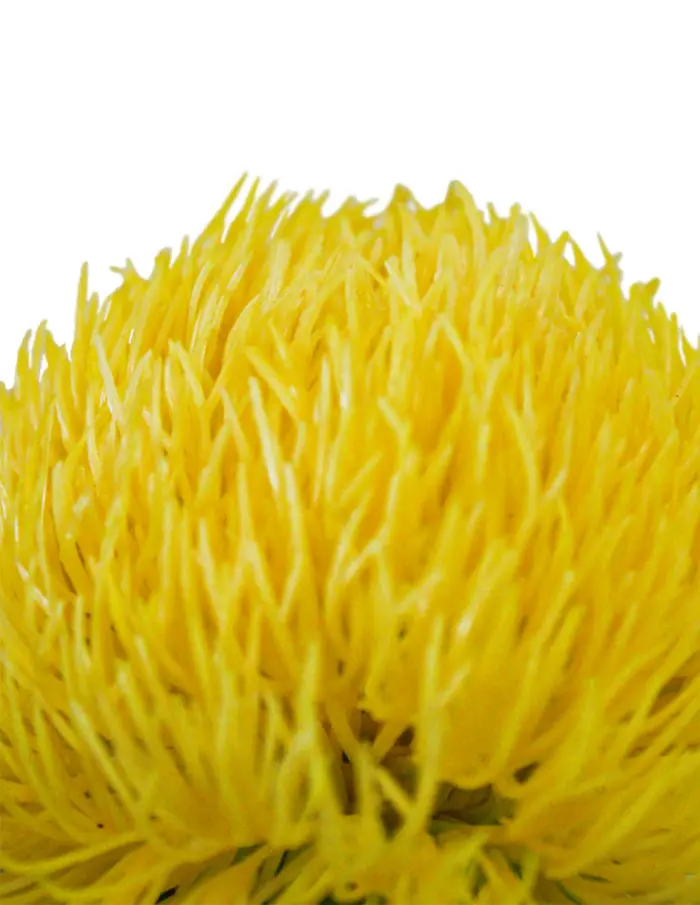 Vara con flor de plastico amarilla de 9x50x0.1cm - Image 2