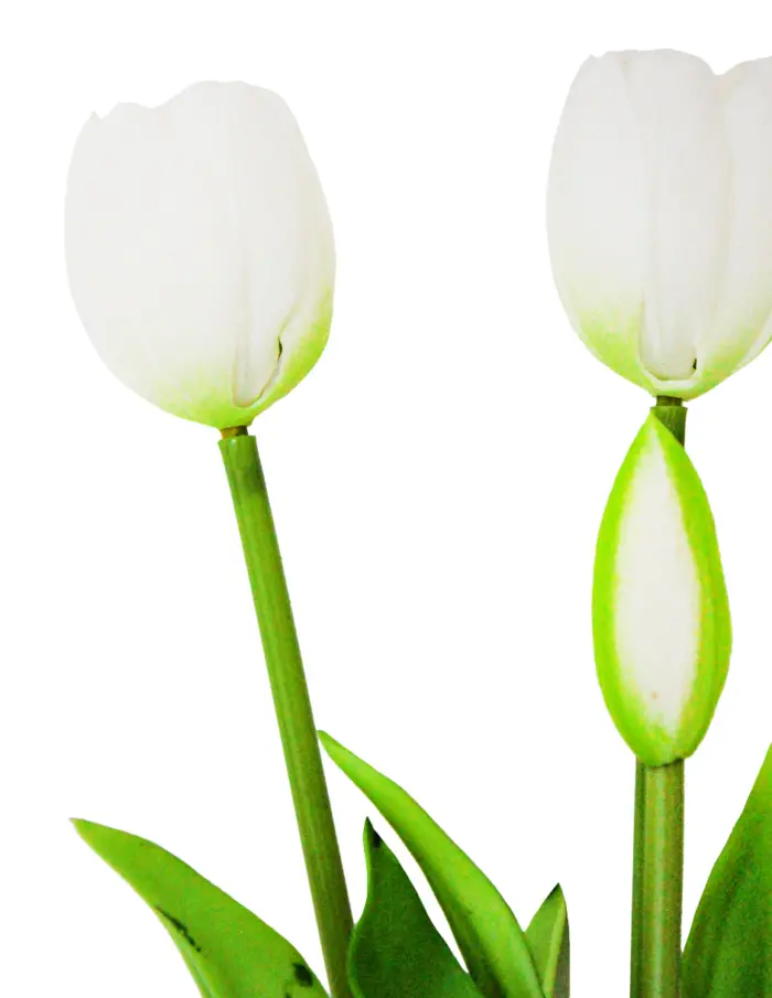 Ramo artificial de tulipanes blancos de 12x40x0.1cm - Image 2