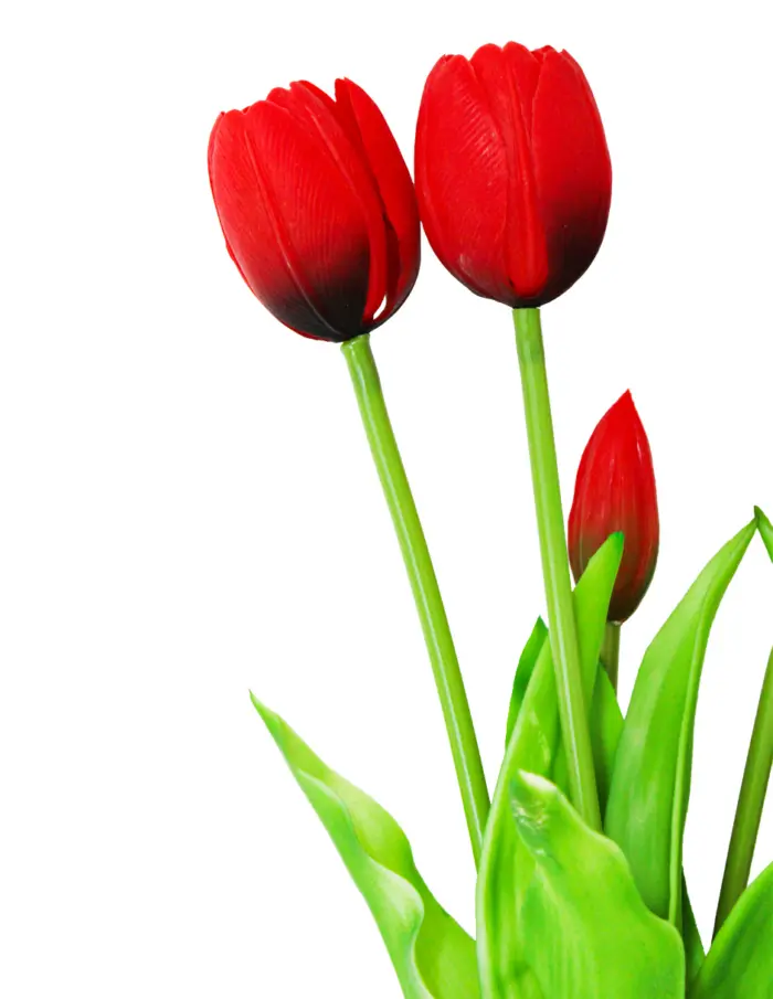 Ramo artificial de tulipanes rojos de 12x40x0.1cm - Image 2