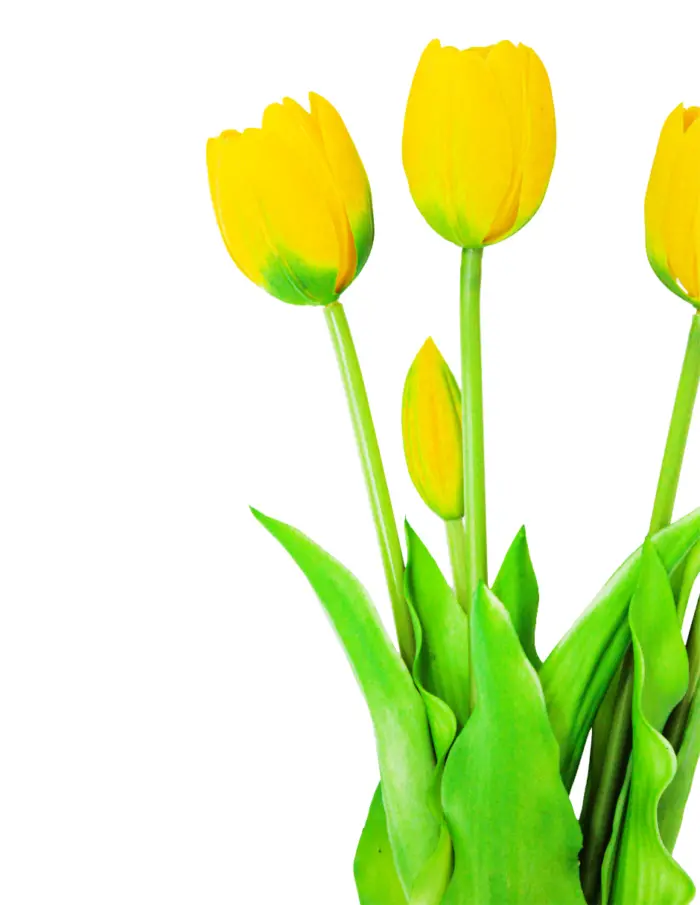 Ramo artificial de tulipanes amarillos de 12x40x0.1cm - Image 2