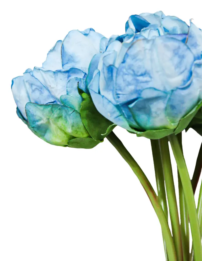 Ramo de rosas azules de 20x35x0.1cm - Image 3