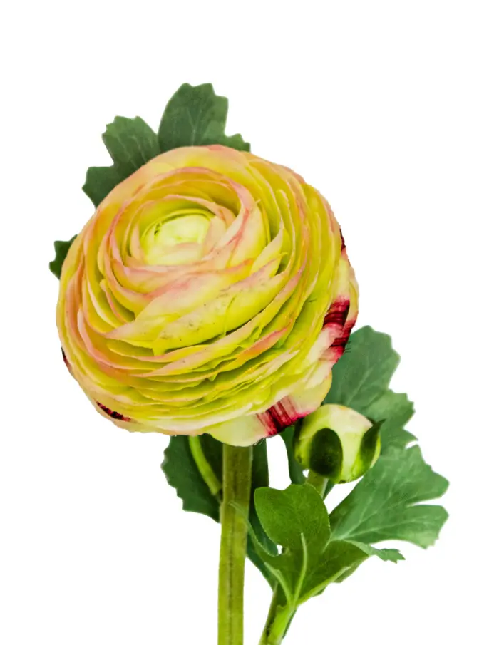 Flor de peonia artificial beige de 18x35x1cm - Image 2