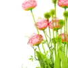 Ramo de flores de peonias rosa de 12x60x0.1cm - Image 2