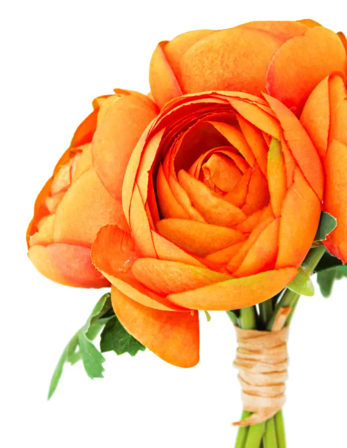 Bouquet de peonias naranja de 19x310.1cm - Image 3