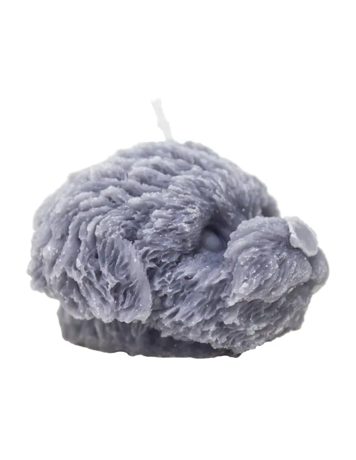 Vela decorativa diseño cabeza de perro gris de 8x8x5.5cm - Image 2