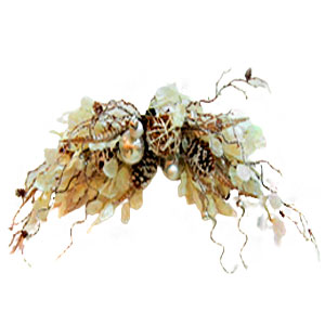 040907904206-galerias el triunfo