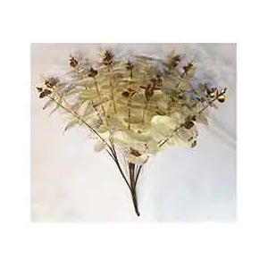 221001736836-galerias el triunfo