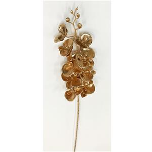 291001736384-galerias el triunfo