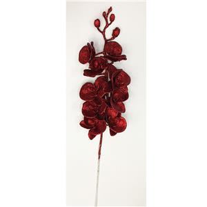 291001736389-galerias el triunfo