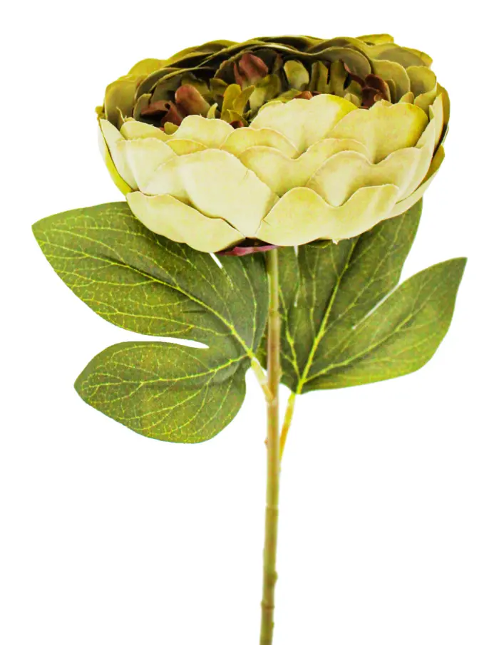 Vara de hojas verdes - Image 2